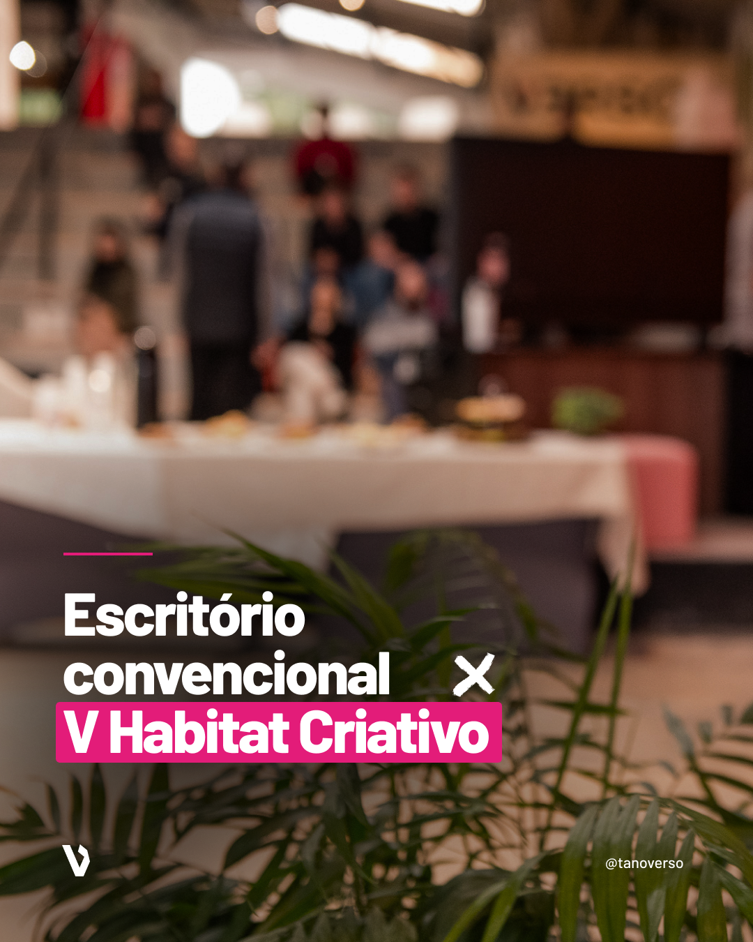 V Habitat Criativo